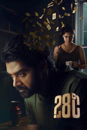 28 градусов Цельсия (2025)