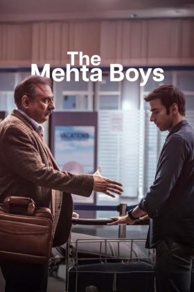 Парни по фамилии Мехта (2024)