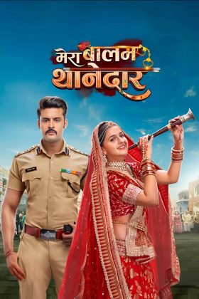 Мой любимый инспектор (2024)