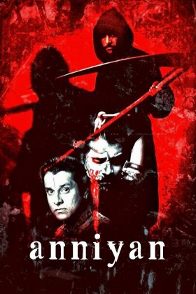 Незнакомец (2005)