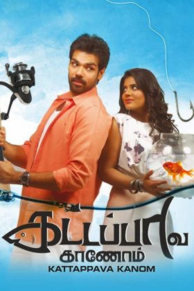 В поисках золотой рыбки (2017)